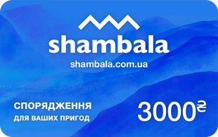 Електронний подарунковий сертифікат на 3000 грн